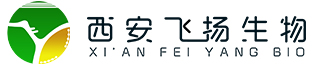 2021年春節(jié)放假通知